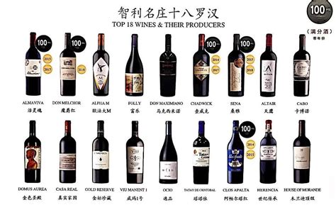 榜单｜智利 10 大顶级葡萄酒名庄-搜狐