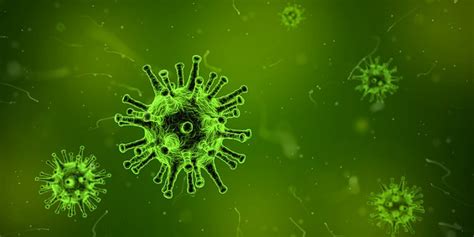 流感嗜血杆菌感染的抗感染治疗_医学界-助力医生临床决策和职业成长