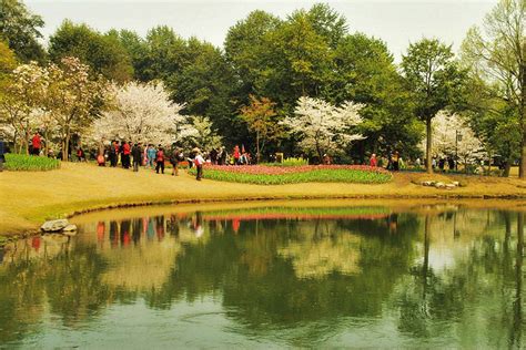 杭州城西森林公园景观设计 - 城市公共景观 - 首家园林设计上市公司