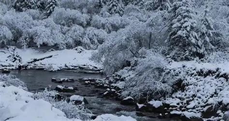 下雪了！成都周边这些地方已经可以玩雪啦！最近只要1.5h|成都市|峨眉山_新浪新闻