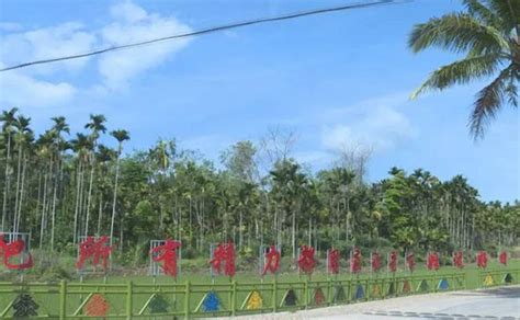 海南琼海：凤凰花开椰子寨-人民图片网
