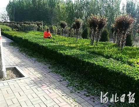 邢台123：邢台市区再添两处“河北省四星级公园”