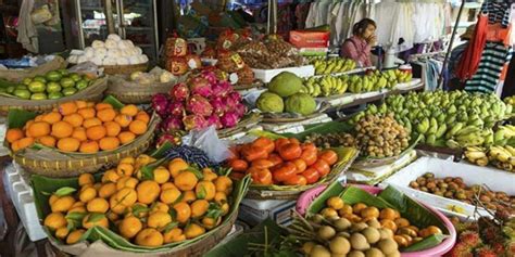 中柬自贸协定谈判“神速” 更多柬埔寨水果将入华_手机新浪网