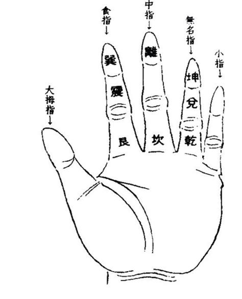 算命掐指一算手势图片,掐指一算配图,算命掐指手势图片(第9页)_大山谷图库