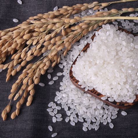 稻可道 东北珍珠米 5kg 东北大米10斤 2022年新米-商品详情-光明菜管家