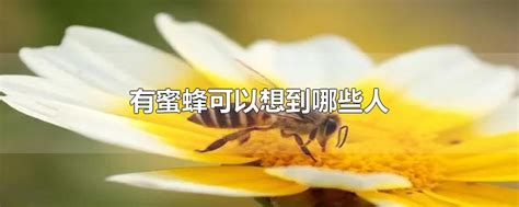 蜜蜂是如何酿造蜂蜜的？蜜蜂采蜜和酿蜜的过程