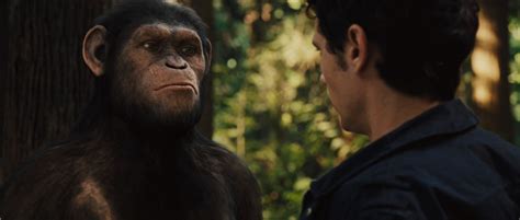《猩球崛起3》影评：一则人类世界的终极寓言_娱乐频道_凤凰网