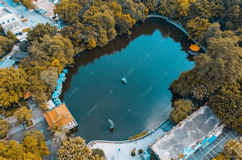 青岛这个公园颜值高：柳湖绿如蓝碧水秀春色
