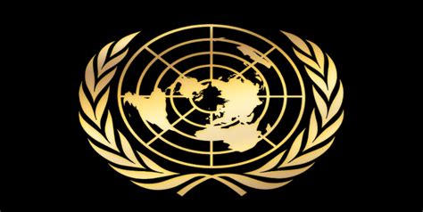 联合国管理战略、政策和合规部 DMSPC