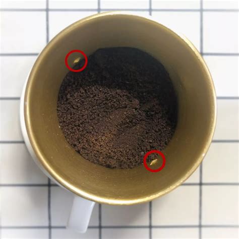 【越南滴漏咖啡的做法步骤图，怎么做好吃】十万个V什么_下厨房