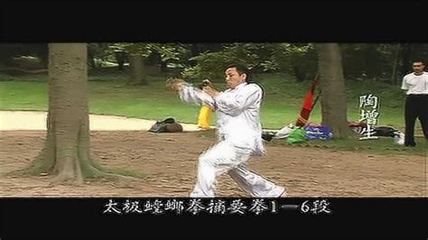 陶增生于2008年录制的太极螳螂拳宣传片