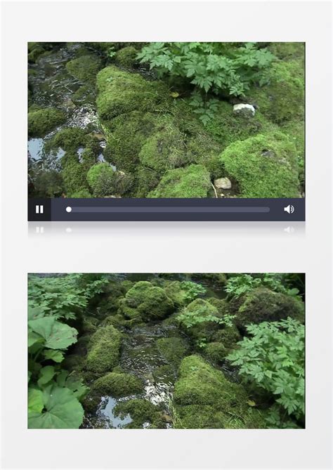林间小溪和瀑布高清实拍视频素材模板下载_瀑布_图客巴巴