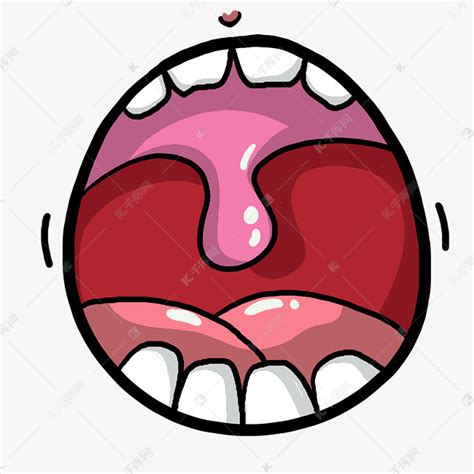 口腔的结构图图片