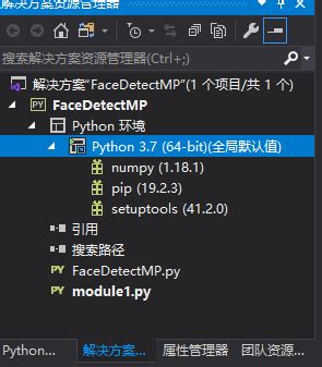 使用VS2019进行python开发 调试 环境创建_vs2019 python开发可选项-CSDN博客