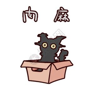 SNH48黑喵图片