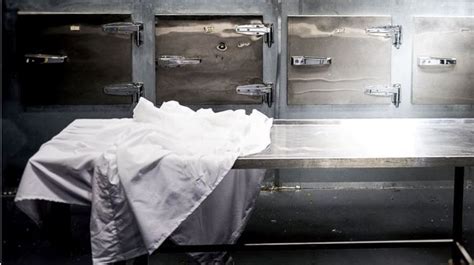 实验室医院太平间全不锈钢尸检站停尸柜 存尸柜六具6屉尸体冷藏箱-阿里巴巴