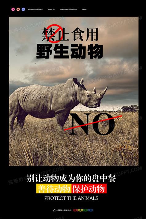拒绝食野生动物公益海报模板素材-正版图片401691464-摄图网