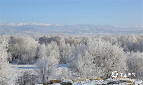 新疆阿勒泰出现雾凇 犹如冰雪的童话世界-高清图集-中国天气网新疆站