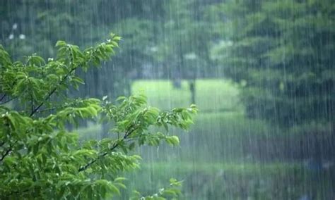 入伏第一天下雨，入伏第一天下雨预示着什么（今日入伏 遇上下雨好不好？）-晓龙经验网