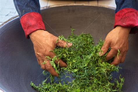 手工茶叶的制作过程 示范手工茶叶如何做_绿茶的制作与保存_绿茶说
