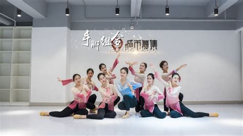 古典舞蹈教学视频《但愿人长久》中国舞 新年年会舞蹈 好美