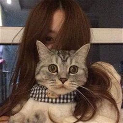 比较温柔点头像女生