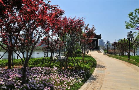景点介绍-武汉市沙湖公园官方网站