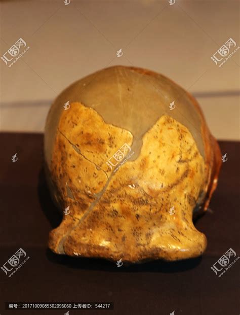 北京人头盖骨化石寻找的漫漫长路 - 神秘的地球 科学|自然|地理|探索