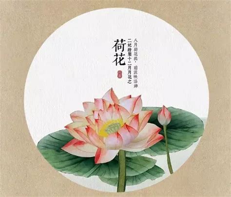 欣赏：六大国画大师的荷花诗，可美啦_中国书画家影像网
