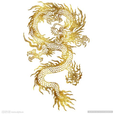 中国传统神话金色龙图png图片免费下载-素材7yzjaWUVa-新图网