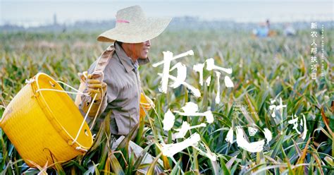“新农人”陈旭华：科技种植为乡村振兴注入新活力-荔枝网