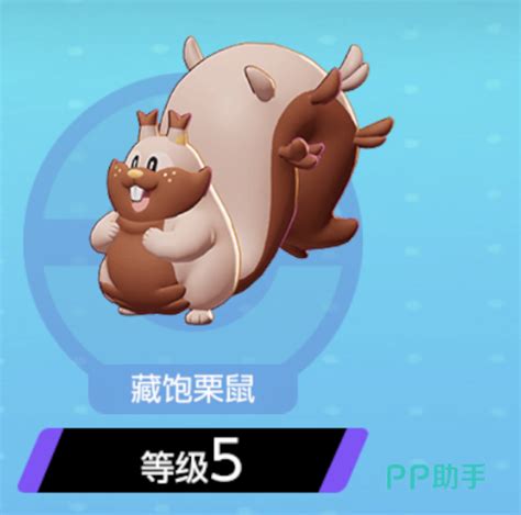 泡沫栗鼠图片