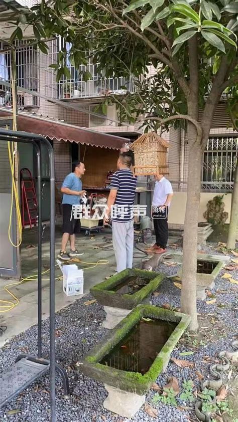 瑞丰花园6栋1单元1楼占用绿地-群众呼声麻辣问政-四川省网上群众工作平台-双流区委书记