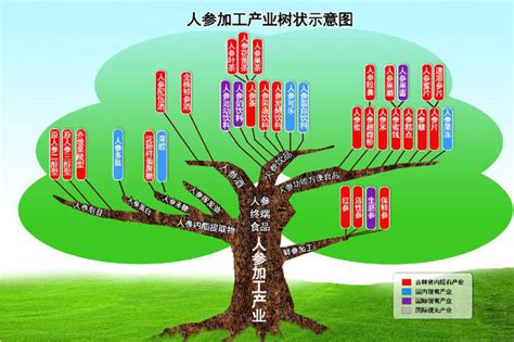 构树_植物图片库_植物通