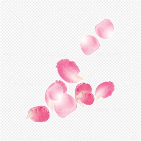 粉色飘落玫瑰花瓣婚礼图片素材免费下载 - 觅知网