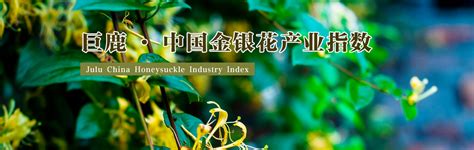 来源： 巨鹿 ·中国金银花产业指数