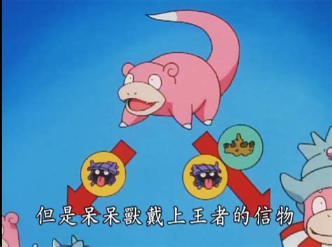 呆河马(呆壳兽)图片 呆河马(呆壳兽)图片