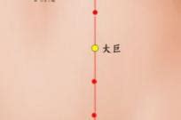 大巨的准确位置图图片 大巨的准确位置图图片
