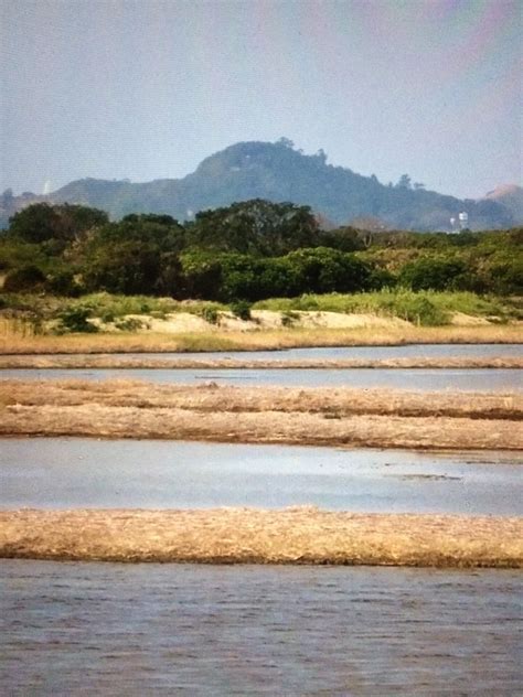 国际重要湿地 | 香港米埔内后海湾国际重要湿地：潮间带滩涂和红树林