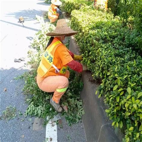 城市园林环保绿化工程施工中植物养护有何策略？