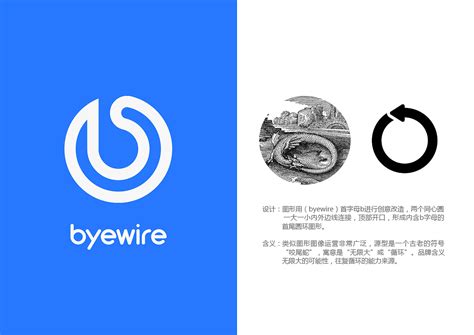 byewire数码品牌logo 5款设计方案|平面|Logo|易指禅 - 原创作品 - 站酷 (ZCOOL)