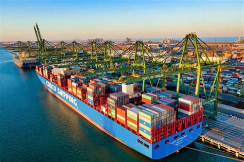 天津港集团全力保障港口春运畅通高效-港口网