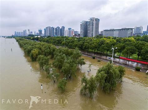 武汉南湖地区内涝严重 汽车被泡水中