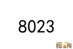 婚检8023数字代表是什么意思（你知道“8023”的真正含义吗？涨知识啦） | 说明书网