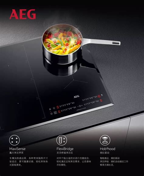 【2018年度排行榜】AEG德国厨房电器 | 2018年度设计师推荐品牌（厨电类）_腾讯家居