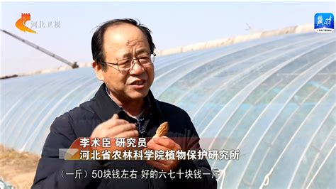 沧州：打造全国高品质蔬菜产业示范区