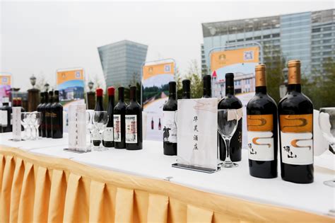 中国葡萄酒·当惊世界殊-宁夏新闻网