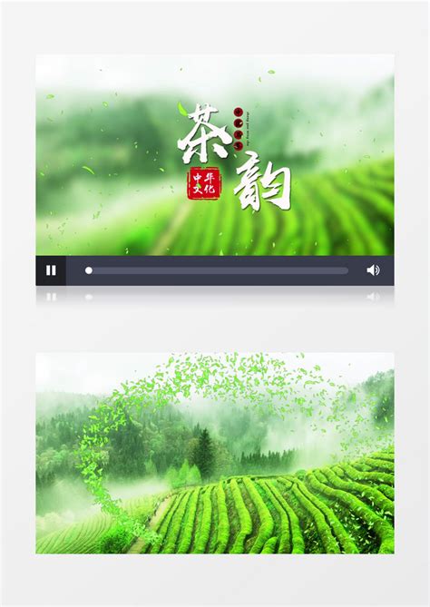 茶文化茶制作宣传AE视频模板aep1080P视频素材下载-编号325856-潮点视频