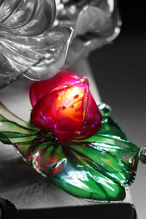 水晶花的花语是什么?水晶花的寓意和象征-花卉百科-中国花木网
