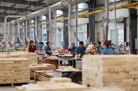 木材加工企业70家 林业深加工成鹿寨工业发展主导-中国木业网